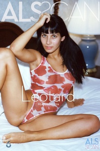 Permanent Link to 2008 05 21 LEOTARD EVA