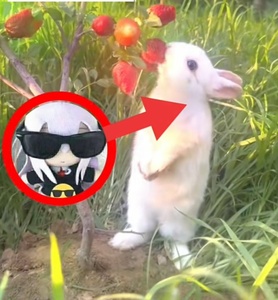 FdH0VhJ6.jpg