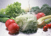 Сезонные овощи / Vegetables in Season MEH1GH_t