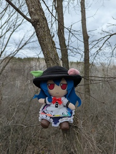 KyLbsP2W.jpg