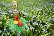 Пасхальные яйца и Пасха / Easter Eggs and Happy Easter MEHIOZ_t