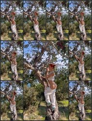 https://thumbs4.imagebam.com/04/ff/e7/ME1206T0_t.jpg