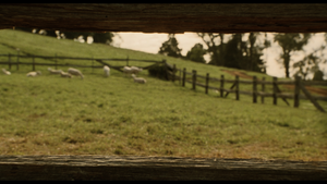 Movie cover image