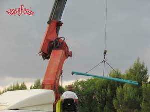 IMG_7900.jpg