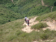 Hiking Tin Shui Wai 2023 July - 頁 2 MEP80FI_t