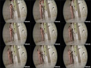 [Image: ME13TVNW_t.jpg]