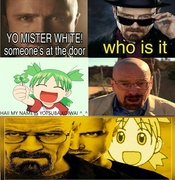 ZkMmUJ2W.jpg