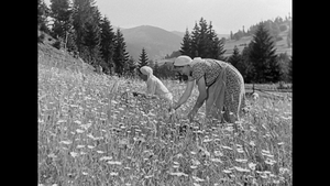 [Obrazek: MEQBNDK_t.png]