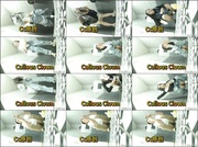 [Image: ME17WQF7_t.jpg]