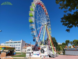 20240908_125323.jpg