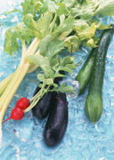 Сезонные овощи / Vegetables in Season MEH1GR_t
