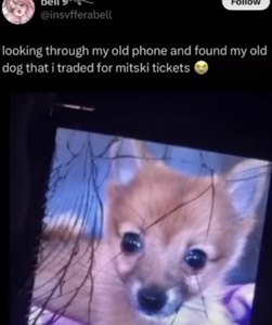 MsnGcwPb.jpg