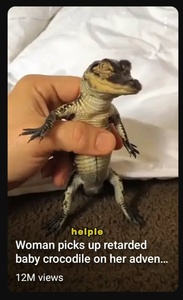 9lpRDXoi.jpg