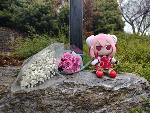 tg8WNq5h.jpg