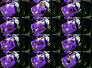 [Image: ME17WQE9_t.jpg]