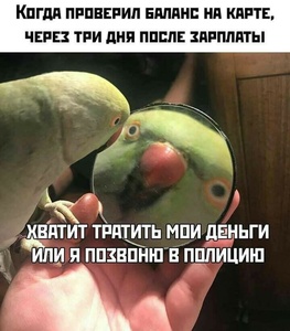 MEZLV99_t.jpg