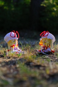 sd3NMa9S.jpg