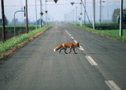 Дороги и пейзажи / Landscapes Featuring Roads MEJ0FB_t