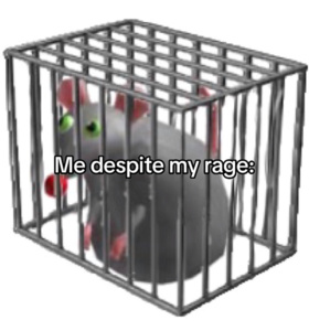 TAXp1f5T.jpg