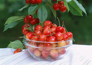 Урожай фруктов / Abundant Harvest of Fruit MEH2IS_t