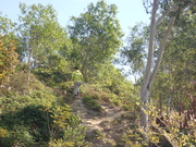 Hiking Tin Shui Wai 2023 July - 頁 3 MEQZM79_t