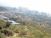 Hiking Tin Shui Wai 2023 July - 頁 3 MEQZMPY_t
