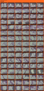 [Image: ME1CGGGD_t.jpg]