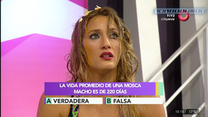 Mica.Viciconte.Huevos.Combate.1080P-ColitazTV.107.jpeg