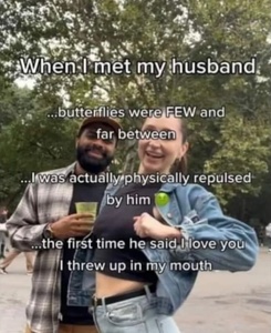 lDOMJ6Vm.jpg