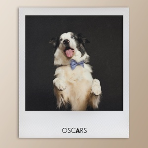 theacademy_426472636_925811045608197_6166079860475693119_n.jpg