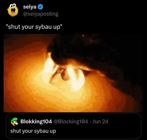 4ajSSm0O.jpg