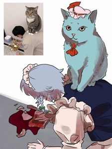 qYfQwRAQ.jpg