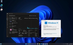 Windows 11 Pro 23H2 Build 22635.3139 Full (2024) RU