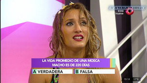 Mica.Viciconte.Huevos.Combate.1080P-ColitazTV.105.jpeg