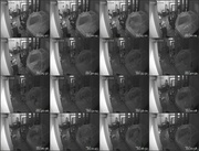 [Image: ME17WQHP_t.jpg]