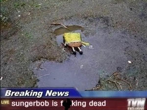 Ky2hZ9YF.jpg