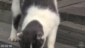 [Image: ME14KM4E_t.jpg]