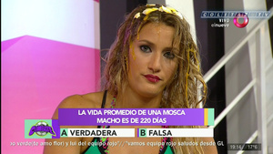 Mica.Viciconte.Huevos.Combate.1080P-ColitazTV.116.jpeg