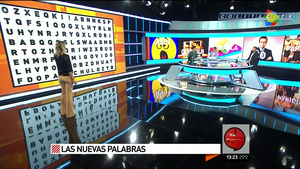 Carolina.Losada.Pantalon.Ajustado.Crucigrama.TCAM.1080P-ColitazTV.24.jpeg