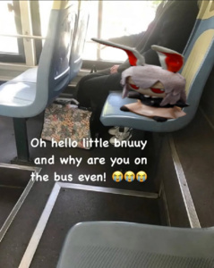 xhYzZ8Ko.jpg