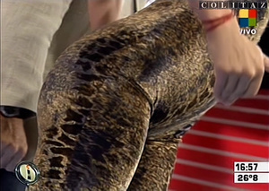 Colitaz-Nazarena.Velez.Catsuit.Leopardo.Vueltita.Intrusos.HQ.60FPS.71.jpeg