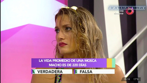 Mica.Viciconte.Huevos.Combate.1080P-ColitazTV.102.jpeg