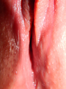 32389 (13).jpg