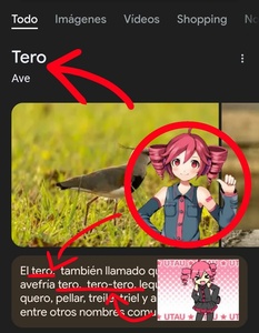 zdXxFeMu.jpg