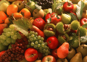 Урожай фруктов / Abundant Harvest of Fruit MEH2YL_t