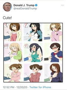 RWJrTWKW.jpg