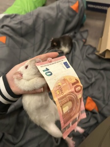 kE8c4BUi.jpg