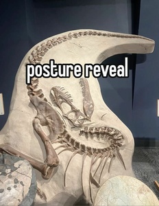 P8wE5aY3.jpg