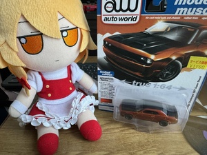 CkZ0puJO.jpg