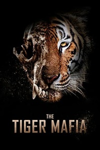 The Tiger Mafia (2016) WEB-DL 1080p EAC3 ITA